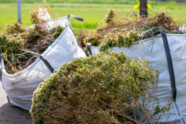 Best Shed Removal  in Chevy Chase, MD